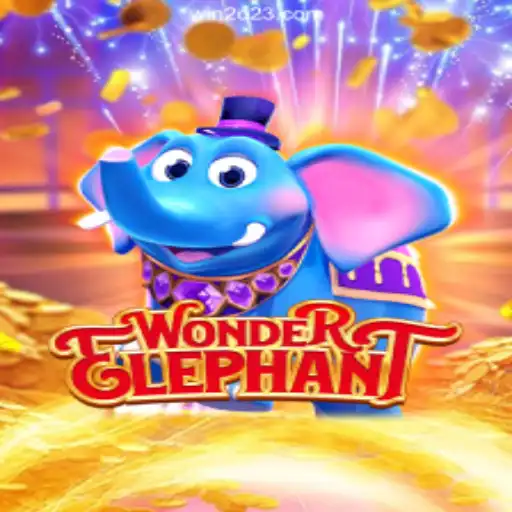 Unleashing the Magic of WonderElephant on the Win2023 Platform